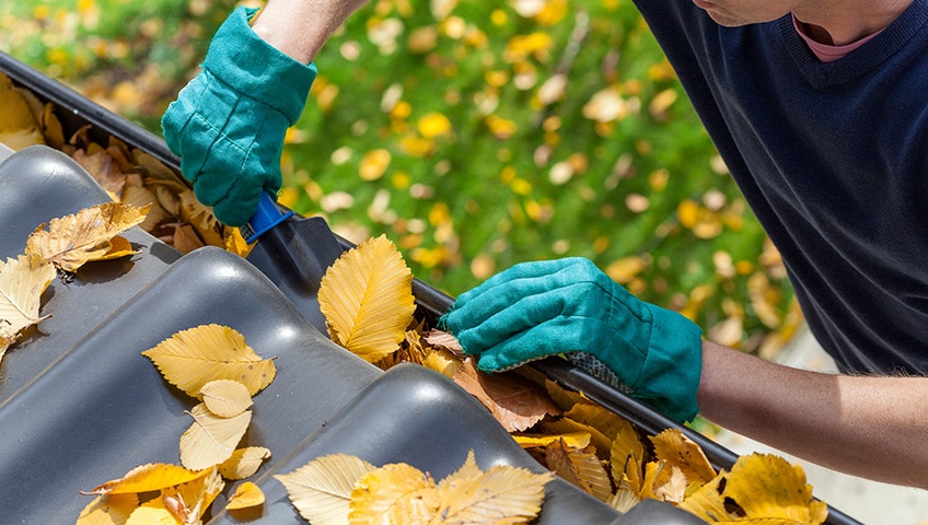 How Cleaning Your Eavestrough Twice A Year Can Save You Thousands of Dollars