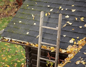 A Complete Guide to Gutter Cleaning