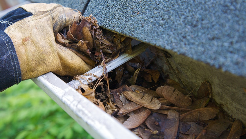 7 Problems Caused by Not Cleaning Your Gutters